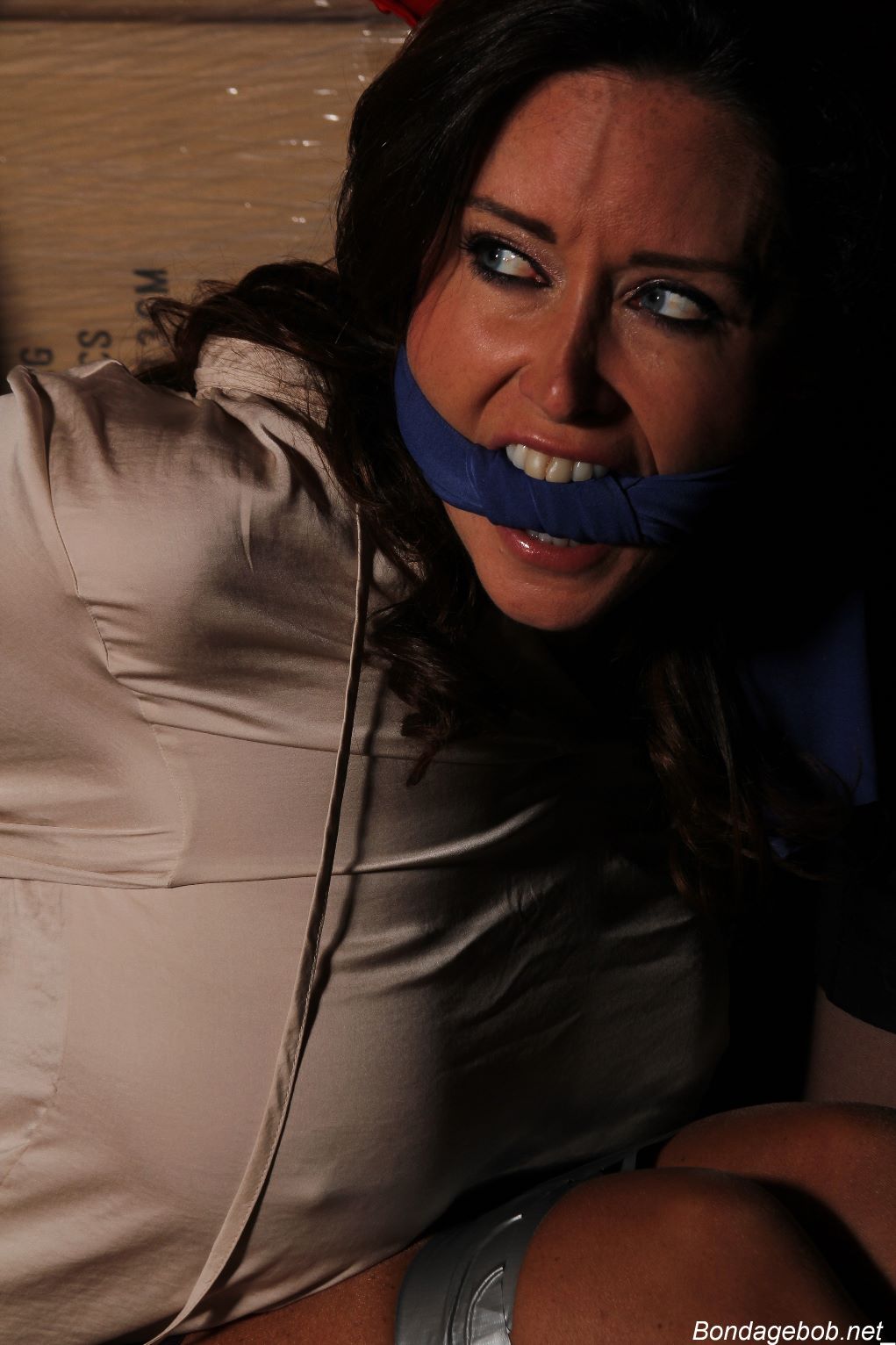 Christina Carter & Nyssa Nevers, The Taker\'s Apprentice