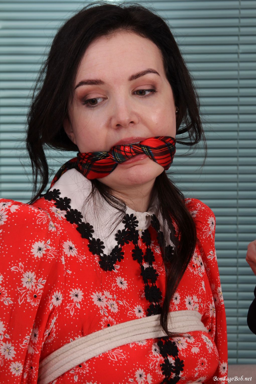 Faye Taylor & Temptress Kate, The Dress