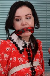 The Dress, 63 exclusive pictures.