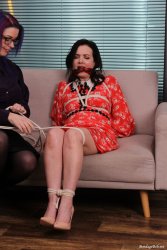 The Dress, 62 exclusive pictures.